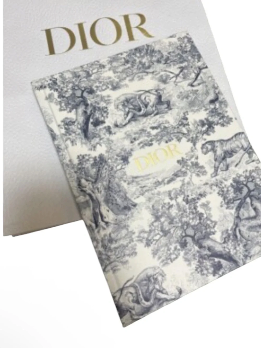 Dior Toile de Jouy Notebook